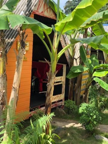Beach Shack Chalet - Garden View Aframe Big Unit Kampong Juara Exterior photo